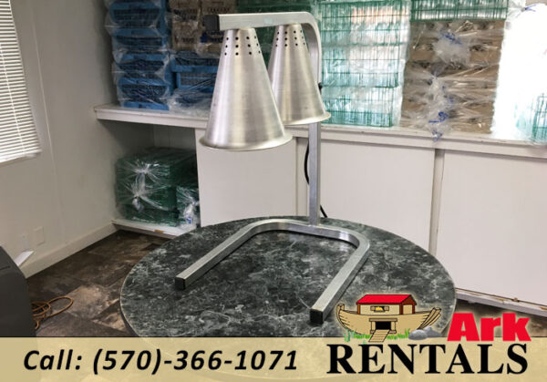 Electric Heat Lamp – 2 Lights rental in NEPA